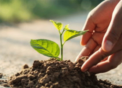 Engagement environnemental Engagement environnemental